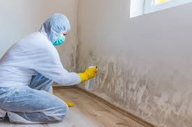 Best Forensic Mold Investigation in Jefferson, IA