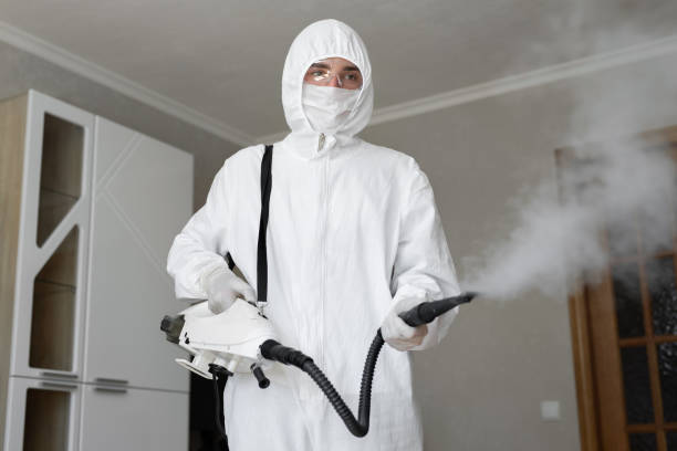 Best Mold Removal for HVAC Installations in Jefferson, IA