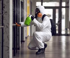 Reliable Jefferson, IA Mold Removal Solutions